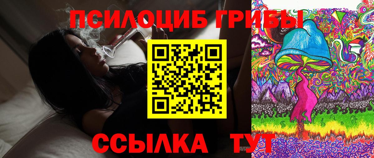 Псилоцибиновые грибы прущие грибы  Вход с VPN  Кушва 