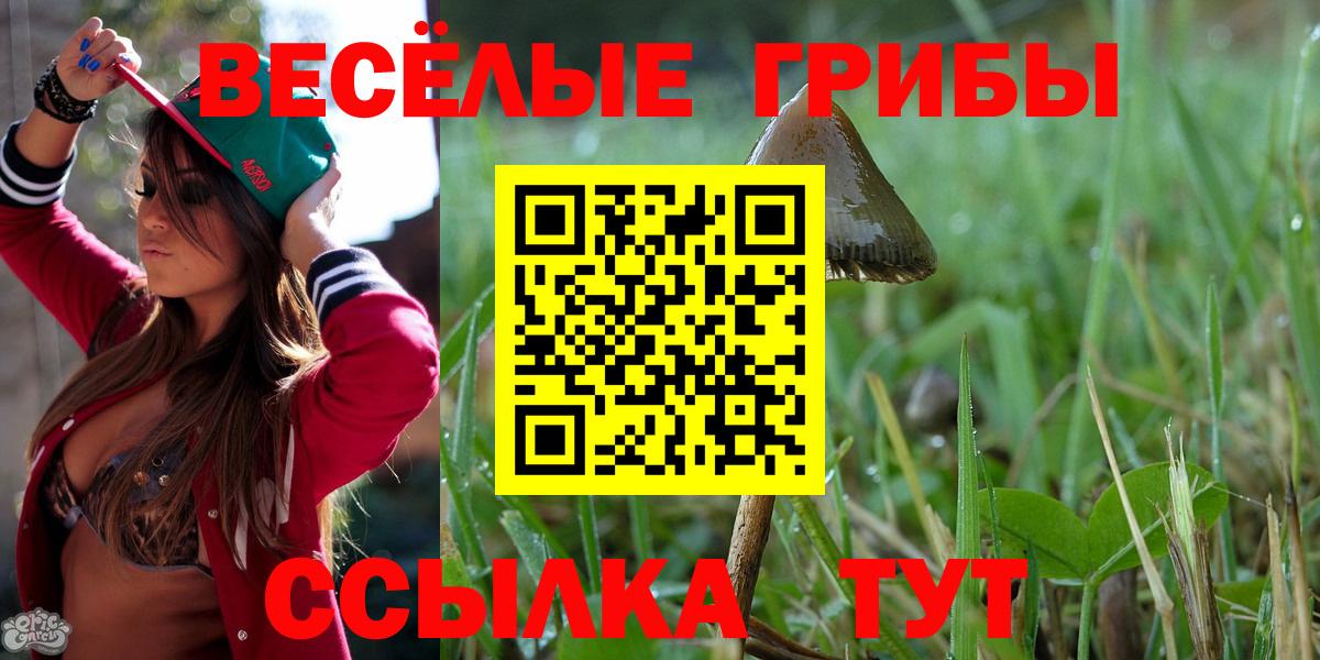 Псилоцибиновые грибы Psilocybe Кушва